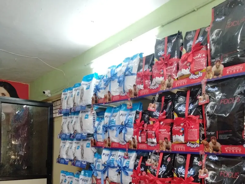 The city pet shop | Best pet Shop in Nikol | Best Pet trainer in Ahmedabad, photo 4