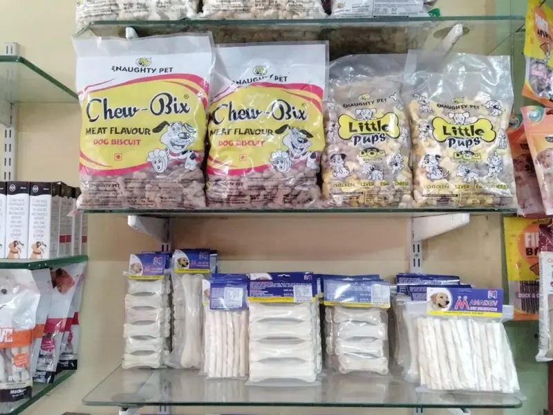 The city pet shop | Best pet Shop in Nikol | Best Pet trainer in Ahmedabad, photo 5