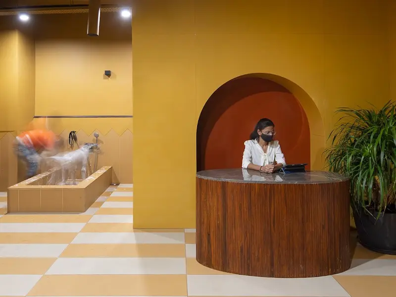 BestBuds Pet Hospital, photo 3