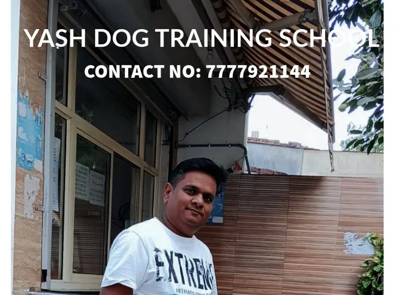 Yash Dog Training School, photo 2