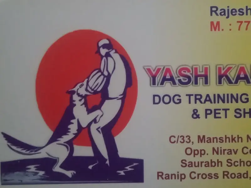 Yash Dog Training School