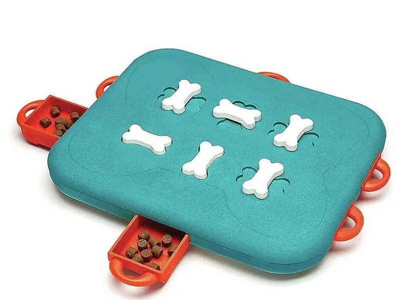 JUSTDOGS | Motera, Ahmedabad - Pet Store & Spa, photo 4
