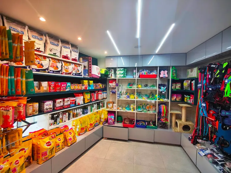 AVS Veterinary Hospital, photo 2