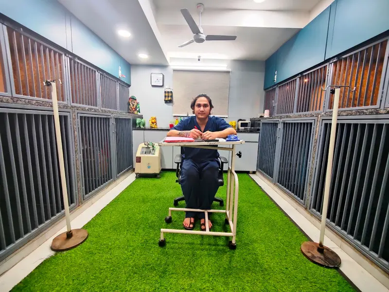 AVS Veterinary Hospital, photo 3