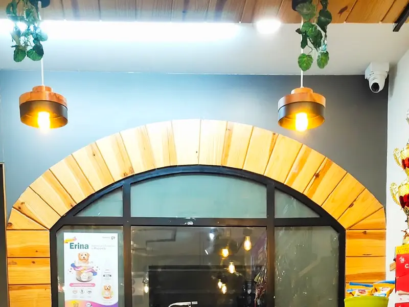 DOG SPA, photo 5
