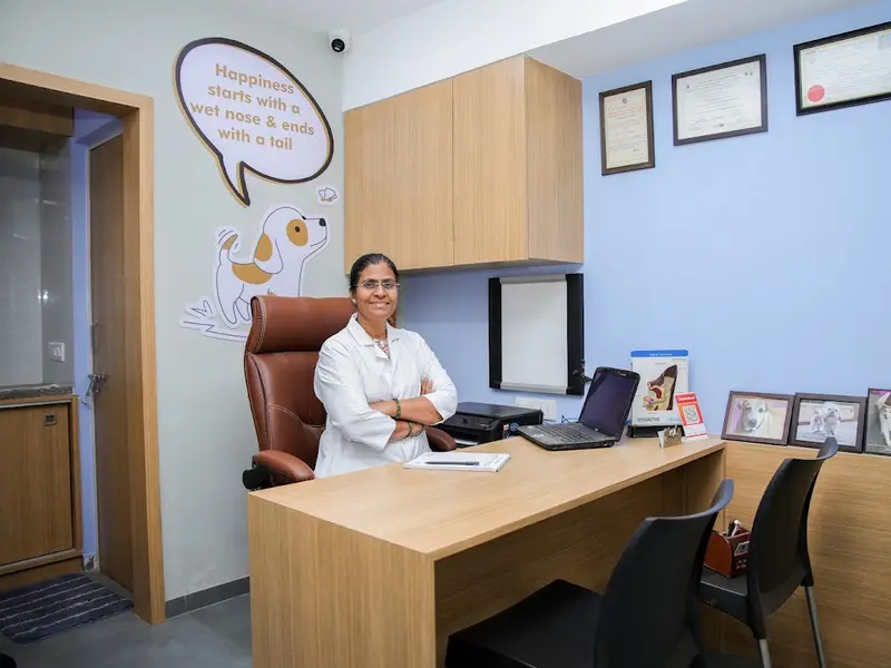 Dr Tina Giri's Vet Clinic, photo 3