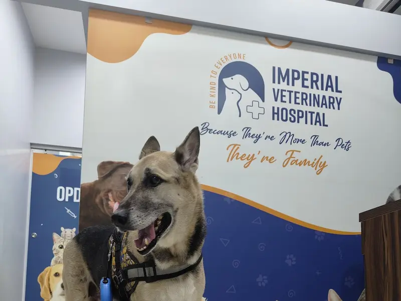 Imperial Veterinary Hospital, photo 3