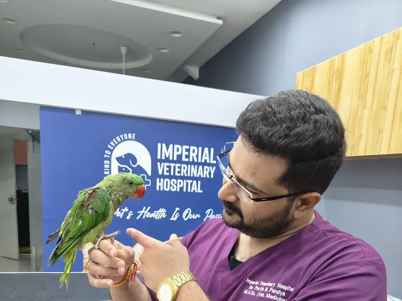 Imperial Veterinary Hospital, photo 4