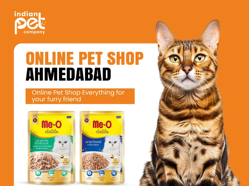 Indian Pet Company- Best Pet Shop in Ahmedabad, photo 3