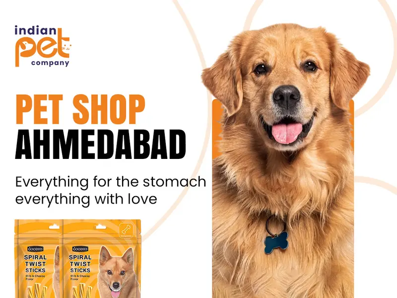 Indian Pet Company- Best Pet Shop in Ahmedabad, photo 4