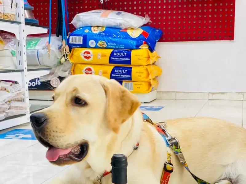 Shreeji Pet Shop, photo 4