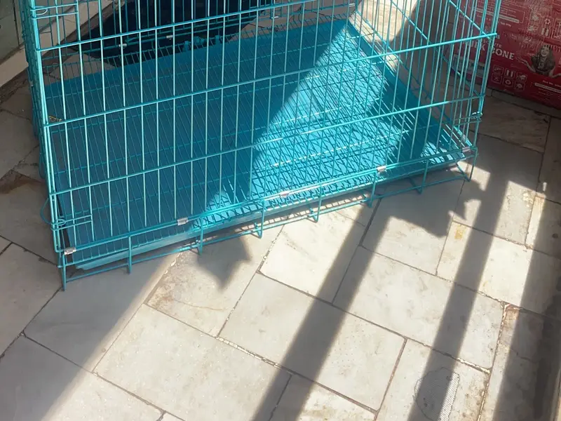 World Pet Mart, photo 2