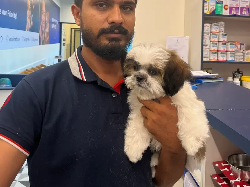 Zigly - Vet Clinic, Pet Grooming & Pet Products | Shyamal, Ahmedabad, photo 5