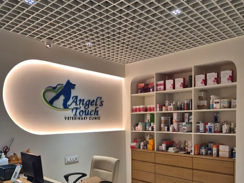 Angel's Touch Veterinary Clinic( Cat clinic,Pet clinic, Dog Clinic, Animal Hospital, Dog Indoor patient Facilities), photo 3