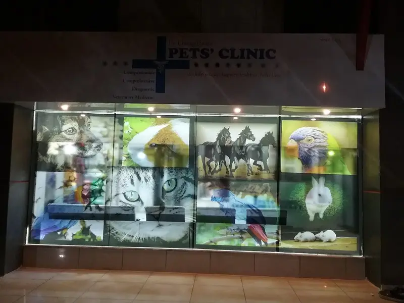 Dr. Chirag Dave's Pets' Clinic, photo 2