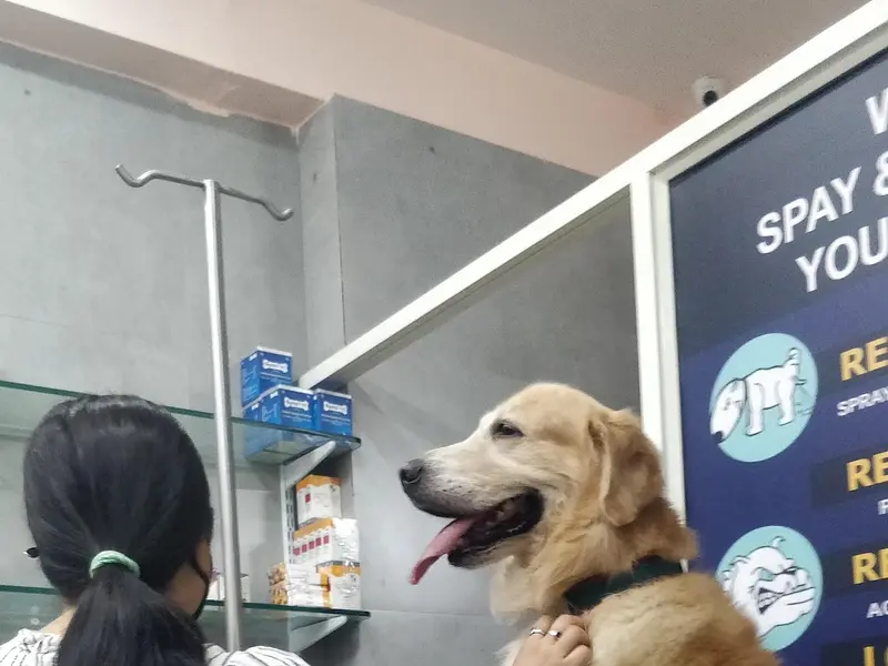 Dr. Patel Pet Clinic, photo 3