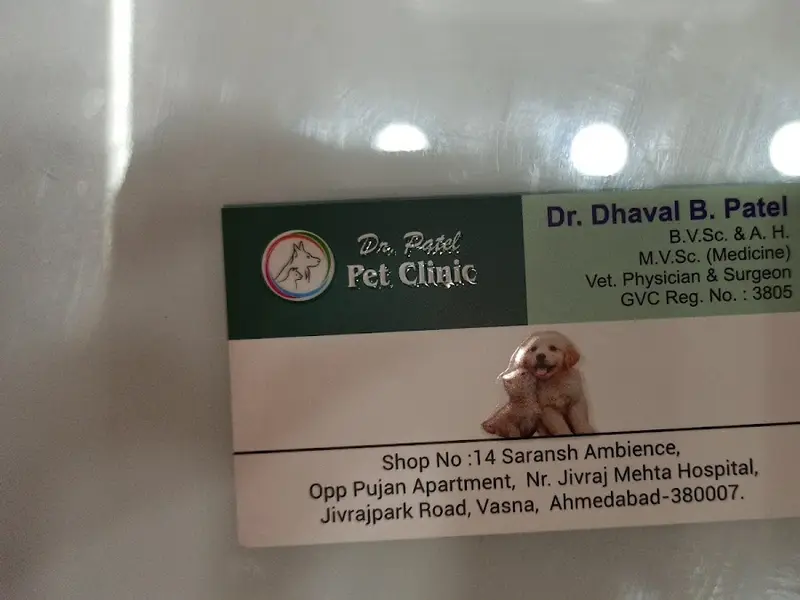 Dr. Patel Pet Clinic, photo 5