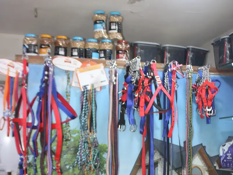 ROZY PET SHOP & CLINIC, photo 4