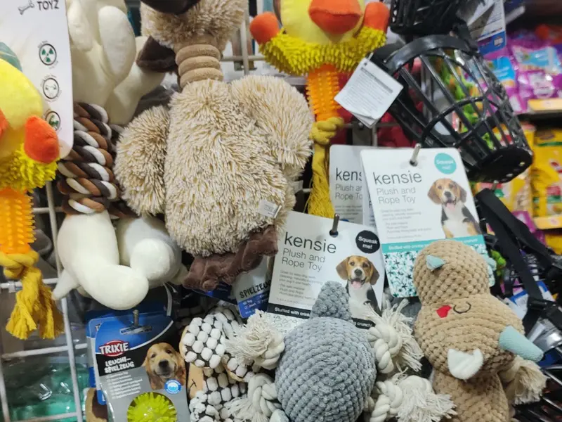 AM'S PETS SHOP, photo 3