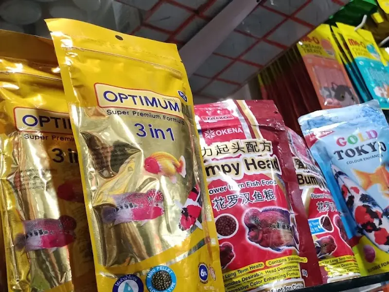 AM'S PETS SHOP, photo 5