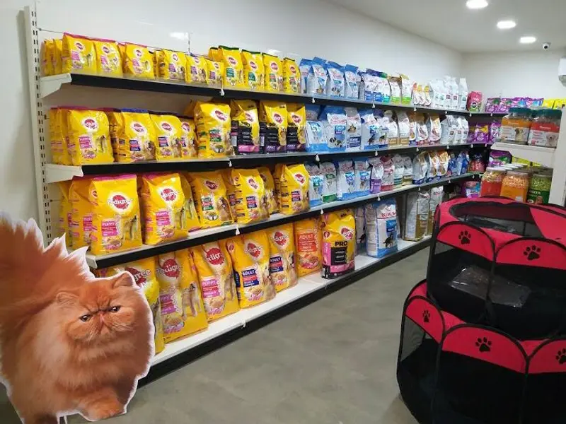 Forever 24 Pet Store, photo 2