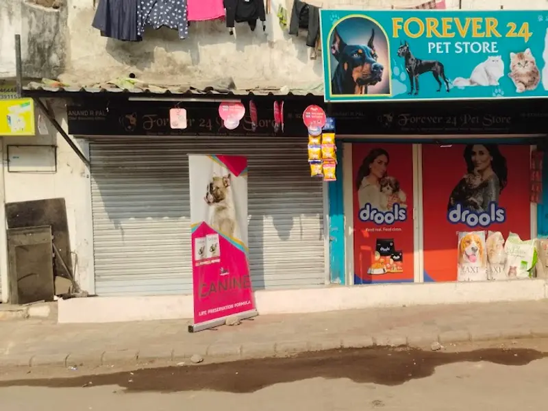 Forever 24 Pet Store, photo 4