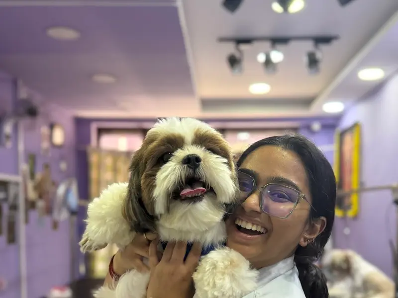CURLY CUTS PET GROOMING, photo 2