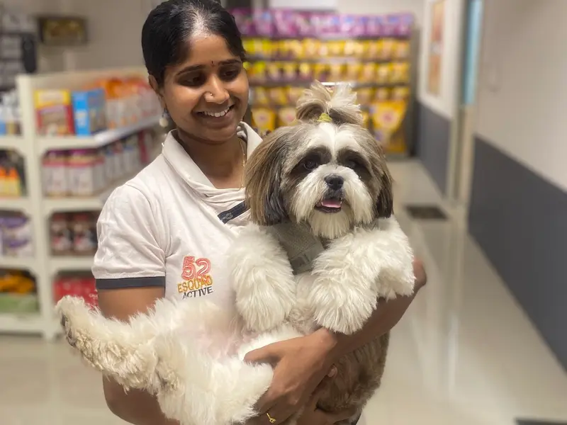 Mr. Pawfect | Pet Store | Pet Spa | Pet Clinic, photo 5