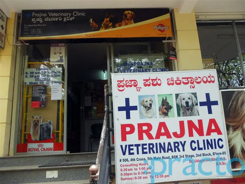 Prajna Veterinary Clinic, photo 2