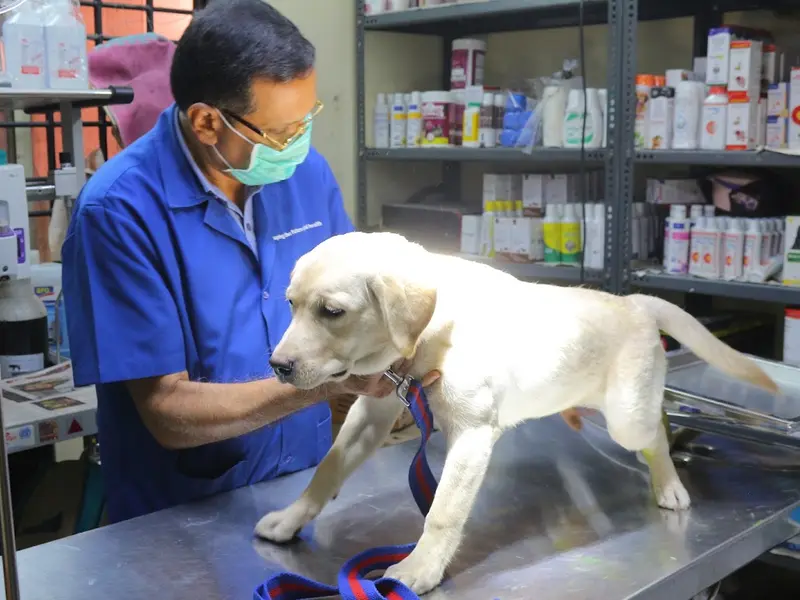 Prajna Veterinary Clinic, photo 3
