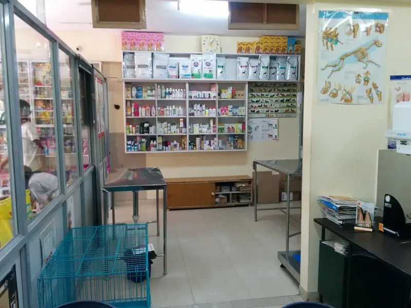 Prajna Veterinary Clinic, photo 5