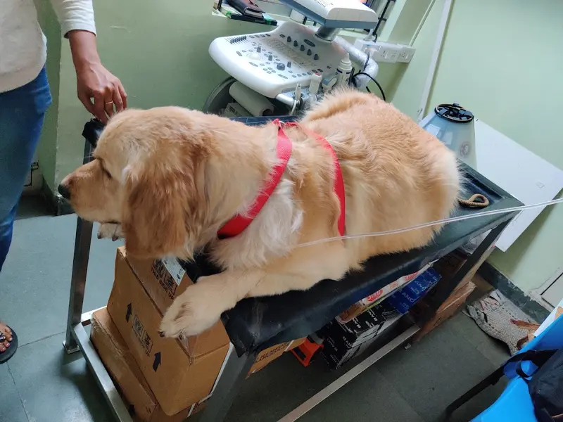Prakruthi Vet Hospital, photo 2