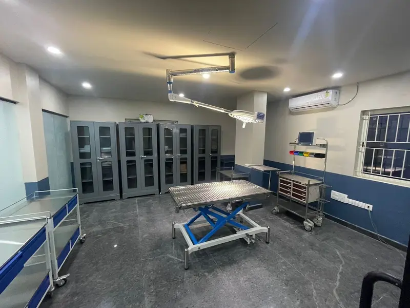 RS Veterinary Clinic | Best Pet Clinic in Banashankari, photo 2
