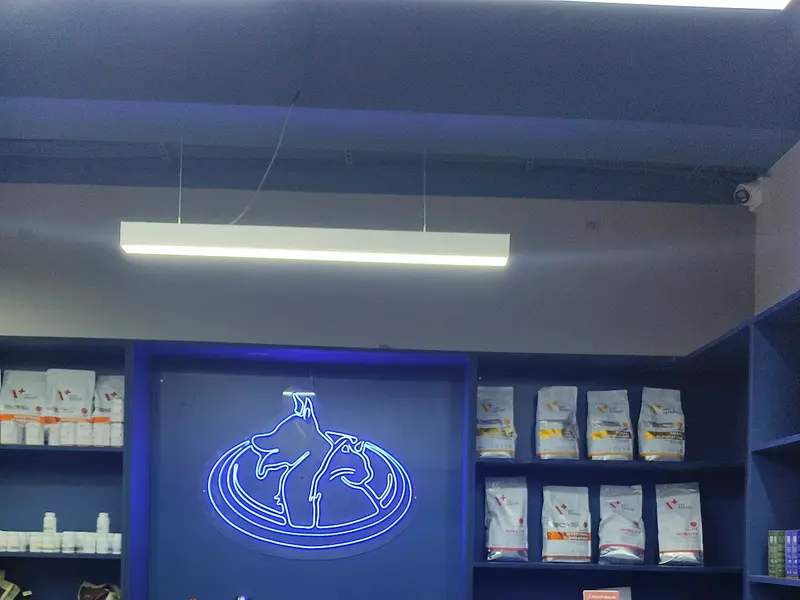 RS Veterinary Clinic | Best Pet Clinic in Banashankari, photo 3