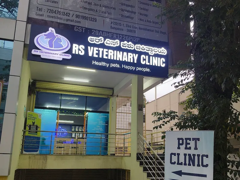 RS Veterinary Clinic | Best Pet Clinic in Banashankari, photo 5