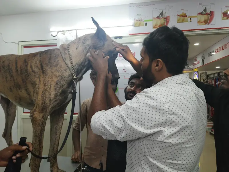 Sudha Pet life Care, photo 3