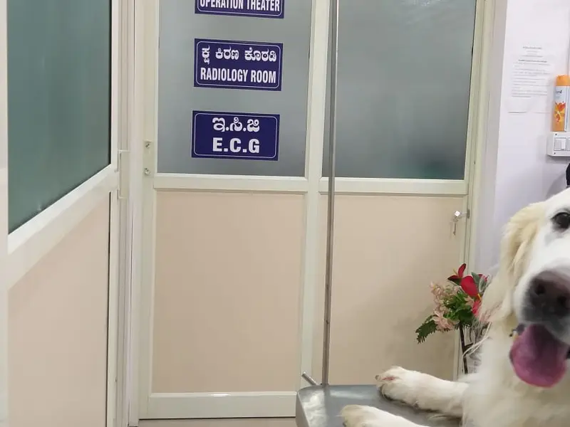 Sudha Pet life Care, photo 4