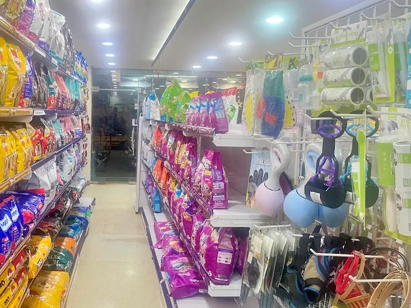 Petz Hangout - Pet Clinic and Pet Grooming & Spa, photo 2