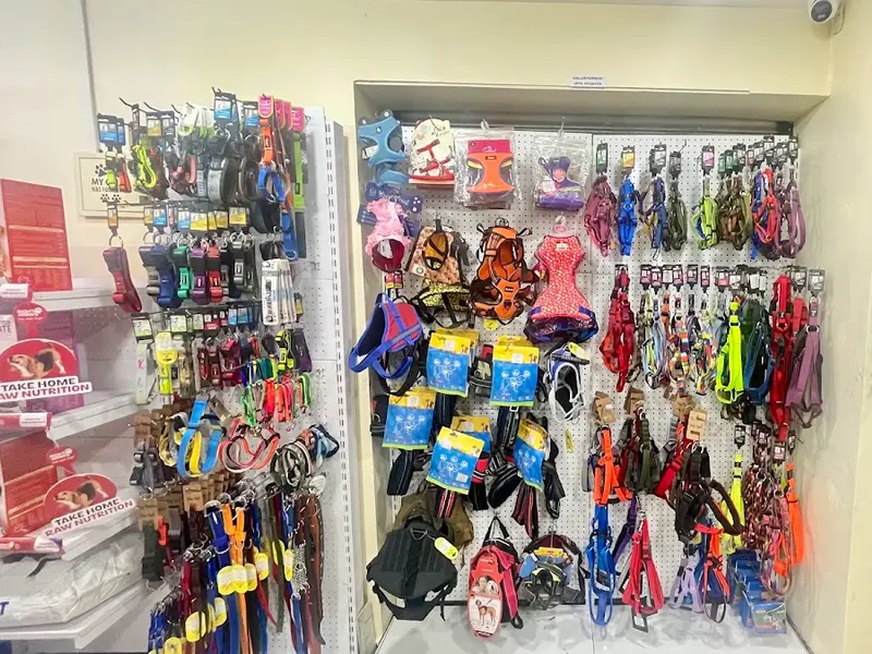 Petz Hangout - Pet Clinic and Pet Grooming & Spa, photo 3