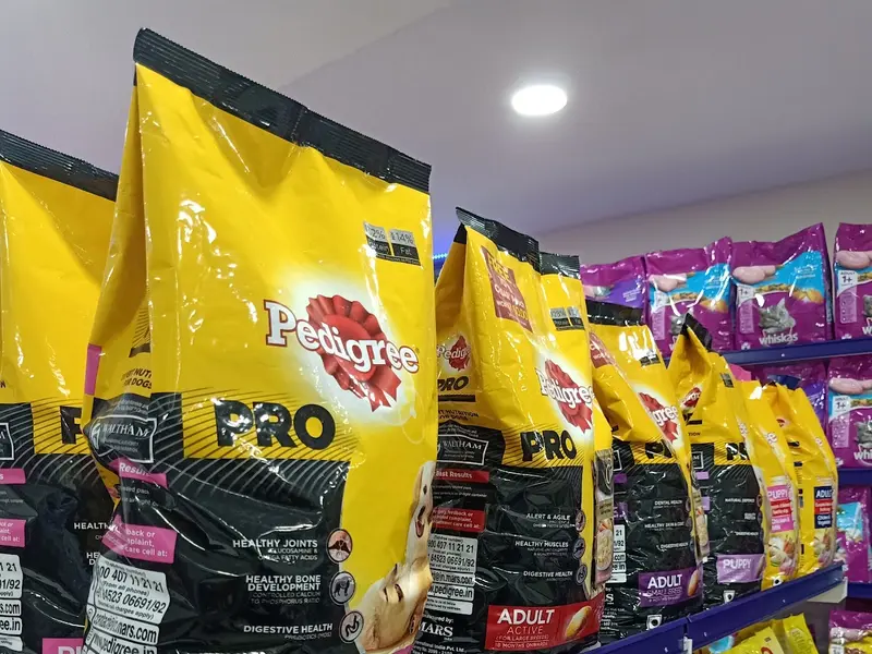 Petz Hangout - Pet Clinic and Pet Grooming & Spa, photo 4