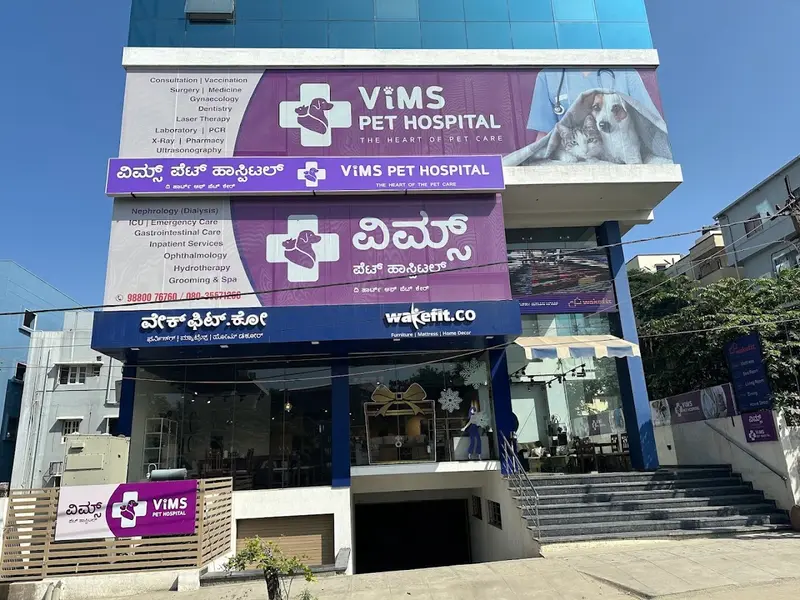 VIMS Pet Hospital – Trusted Veterinarian Clinic for pets, photo 2