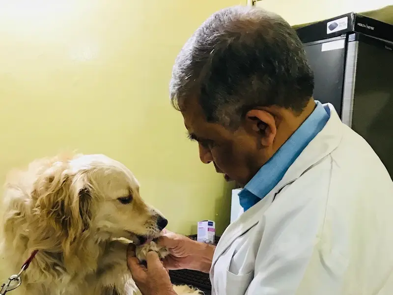 AASRA PET CLINIC, photo 4
