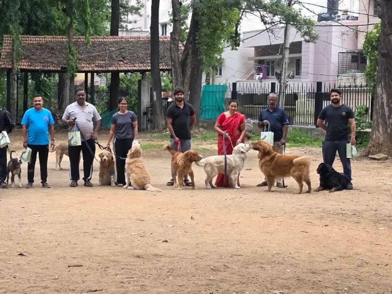 K9 Gurukul, photo 2