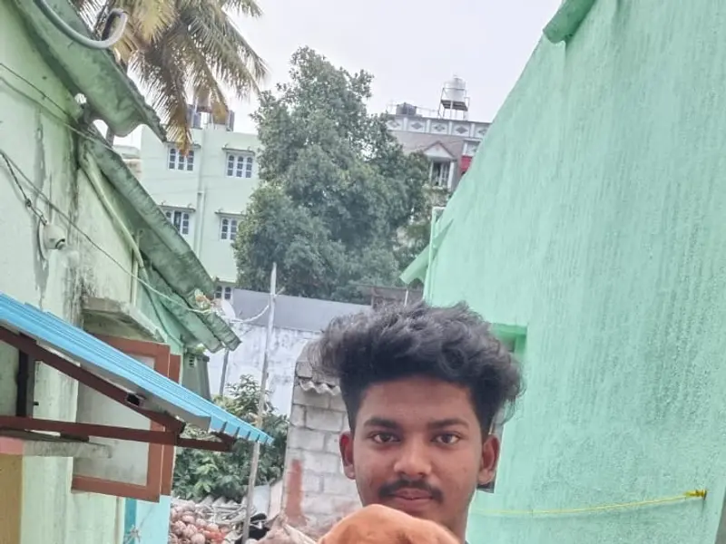 Kiran Puppy Farm Bangalore, photo 5
