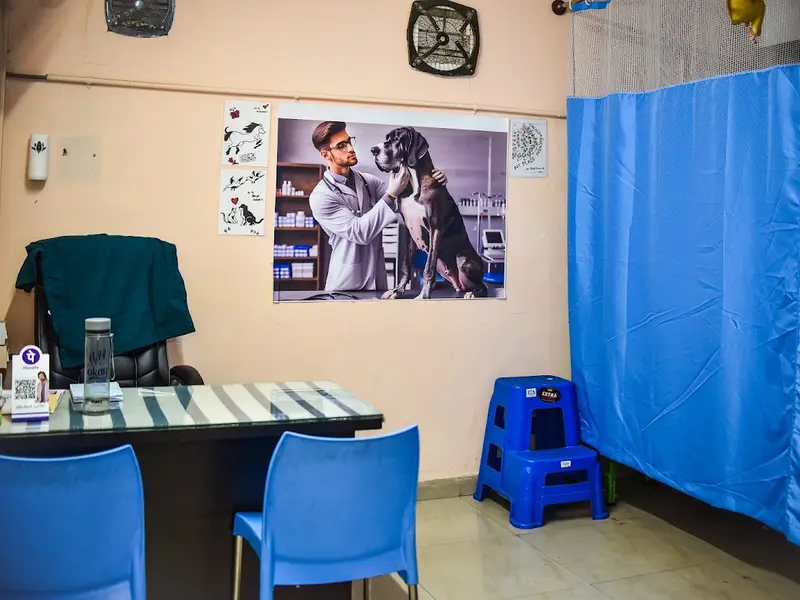 PET PLACE, photo 5