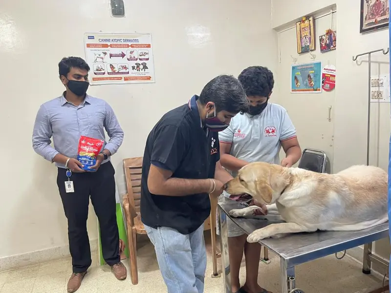 Pets Plaaza - Pet shop and Clinic, photo 3