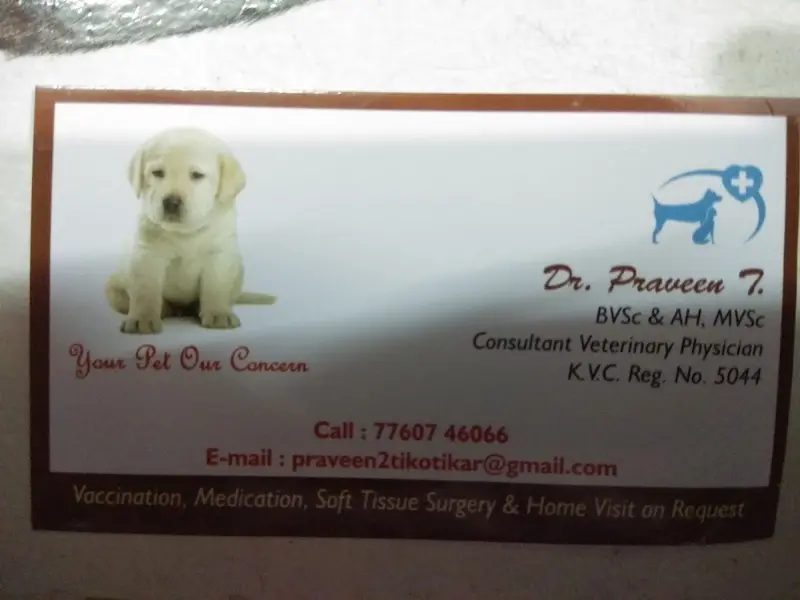 Pets Plaaza - Pet shop and Clinic, photo 5