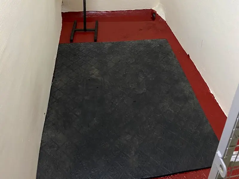 TR Pet boarding, photo 4