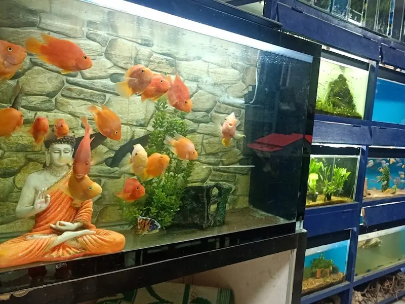 Amazing pet choice, photo 5