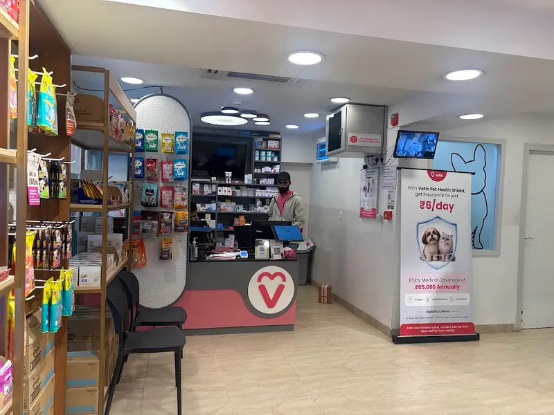 Vetic Pet Clinic Bannerghatta Road, photo 2